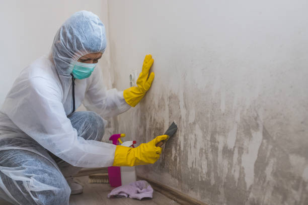 Best Crawl Space Mold Removal  in Clifton, NJ