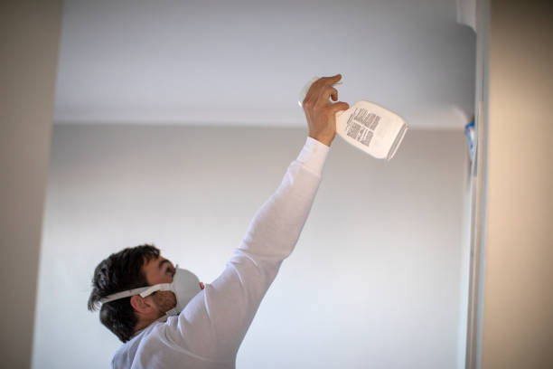 Best Same-Day Mold Removal  in Clifton, NJ