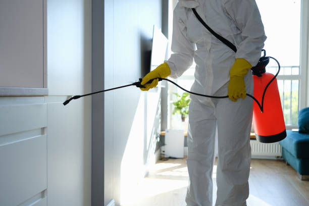 Home Mold Removal in Clifton, NJ