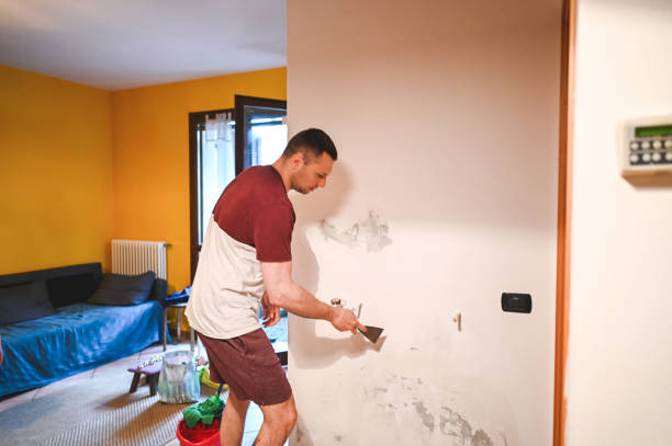 Best Home Mold Removal  in Clifton, NJ